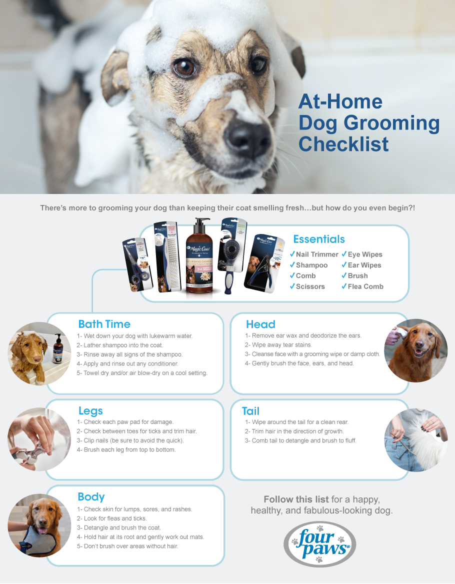 How to Groom Your Dog infographic: at-home dog grooming checklist